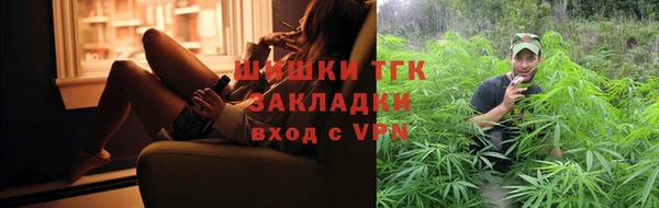 сатива Козельск