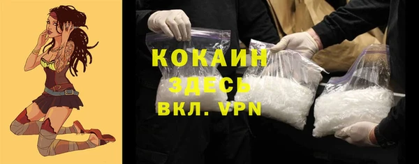 PSILOCYBIN Кодинск