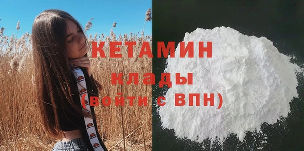 сатива Козельск
