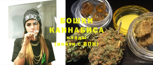 сатива Козельск