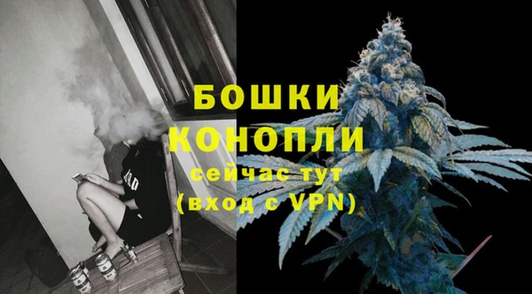 PSILOCYBIN Кодинск