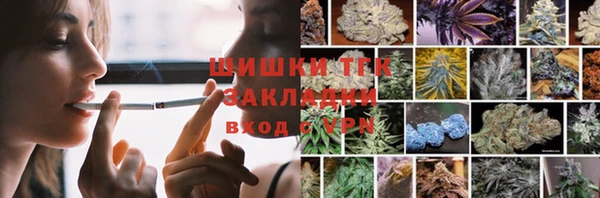 сатива Козельск