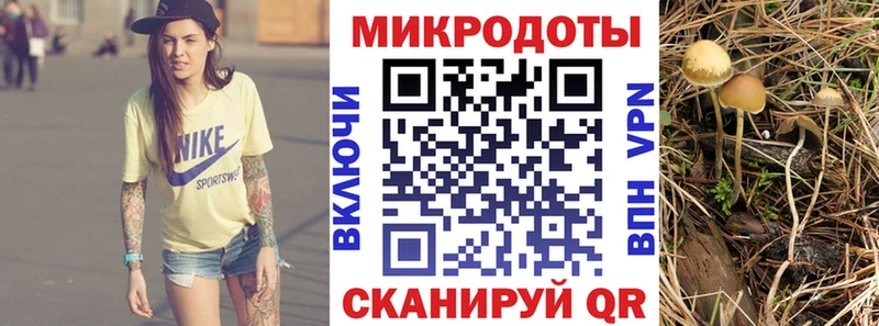Галлюциногенные грибы Psilocybe  где продают   Называевск 