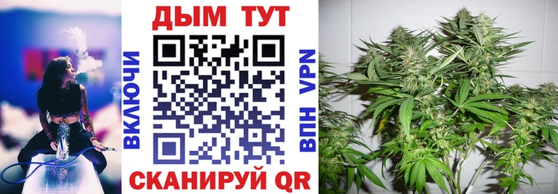 Конопля гибрид Называевск